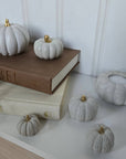 Concrete Pumpkins / White - Cloth + Cabin