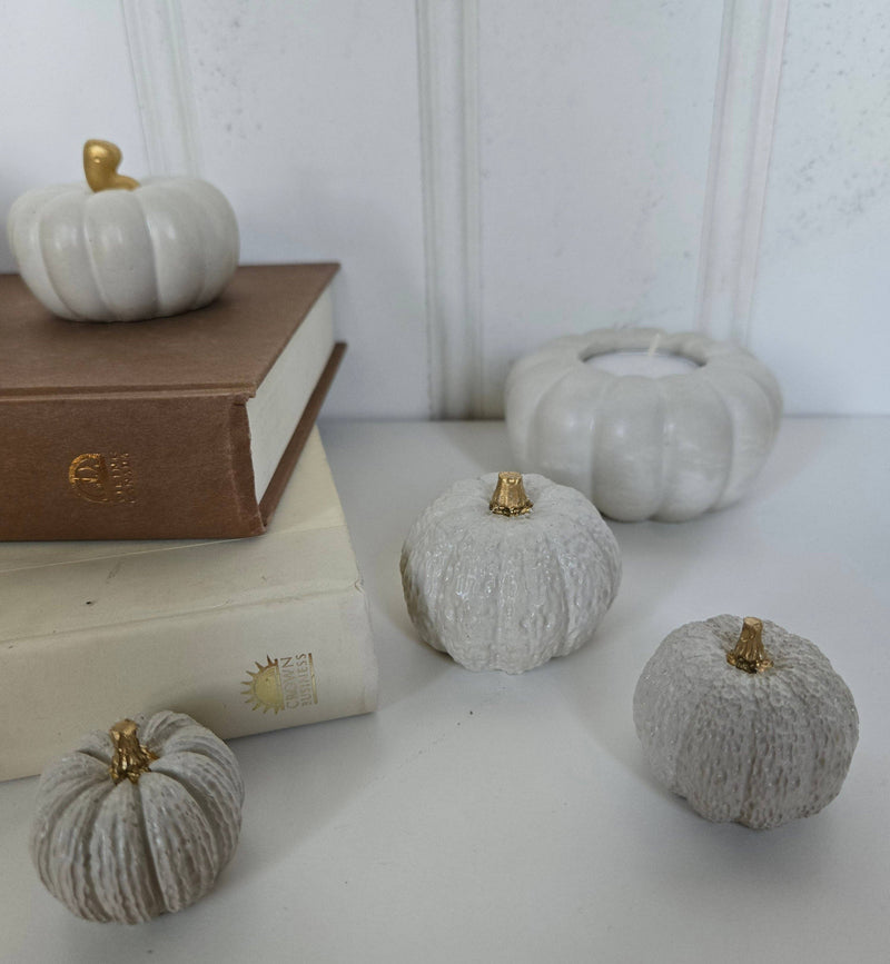 Concrete Pumpkins / White - Cloth + Cabin