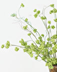 Spring Berry Stem - Cloth + Cabin