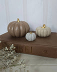 Concrete Pumpkins / White - Cloth + Cabin