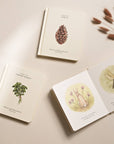 Our Little Adventures Board Book Box Set for Kids