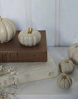 Concrete Pumpkins / Cream - Cloth + Cabin
