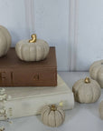 Concrete Pumpkins / Cream - Cloth + Cabin