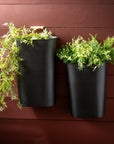 Embossed Black Wall Planters - Cloth + Cabin