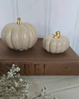 Concrete Pumpkins / Cream - Cloth + Cabin