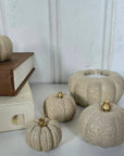Concrete Pumpkins / Cream - Cloth + Cabin