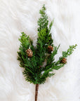 Cypress + Pine Cone Spray - Cloth + Cabin