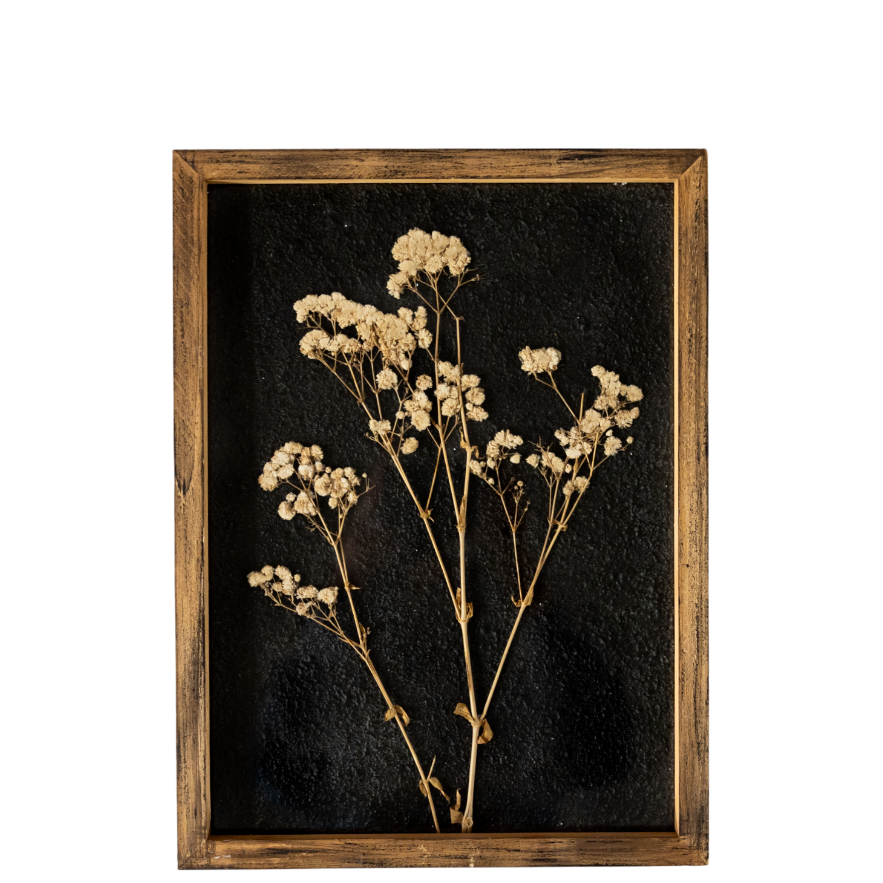 Delicate Pressed Flowers Botanical Wall Art - Cloth + Cabin