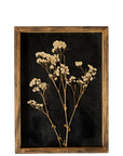 Delicate Pressed Flowers Botanical Wall Art - Cloth + Cabin