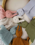 Organic Cotton Muslin Sage Bunny Lovey Blanket 
