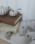 Concrete Pumpkins /  White - Cloth + Cabin