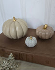 Concrete Pumpkins / Cream - Cloth + Cabin