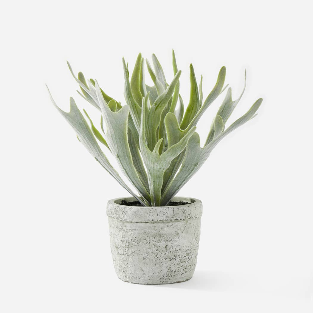 Faux Potted Plant - Cloth + Cabin