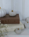 Concrete Pumpkins /  White - Cloth + Cabin