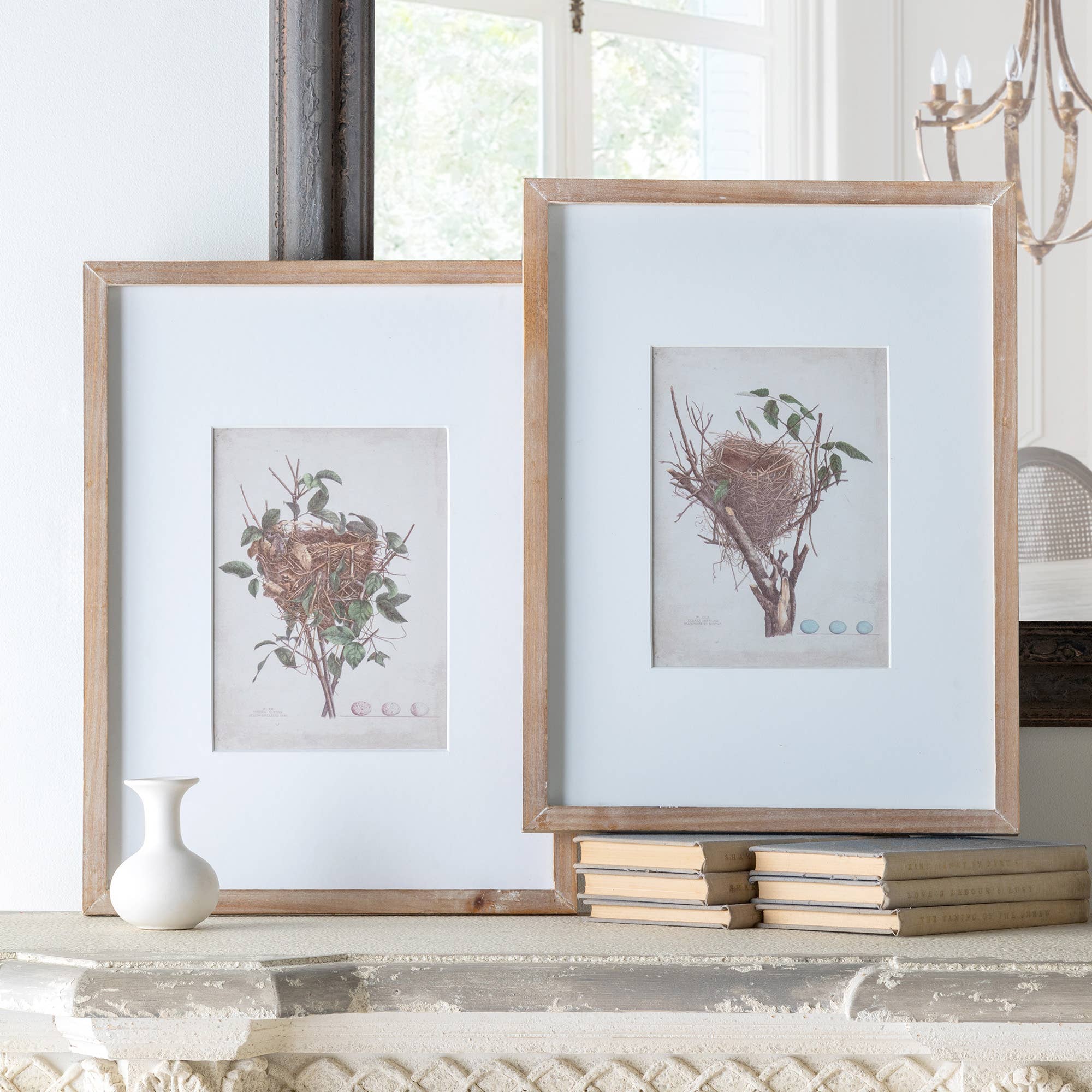 Feathered Nest Framed Print - Cloth + Cabin