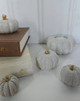 Concrete Pumpkins /  White - Cloth + Cabin