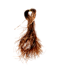 Bronze Tinsel - Cloth + Cabin