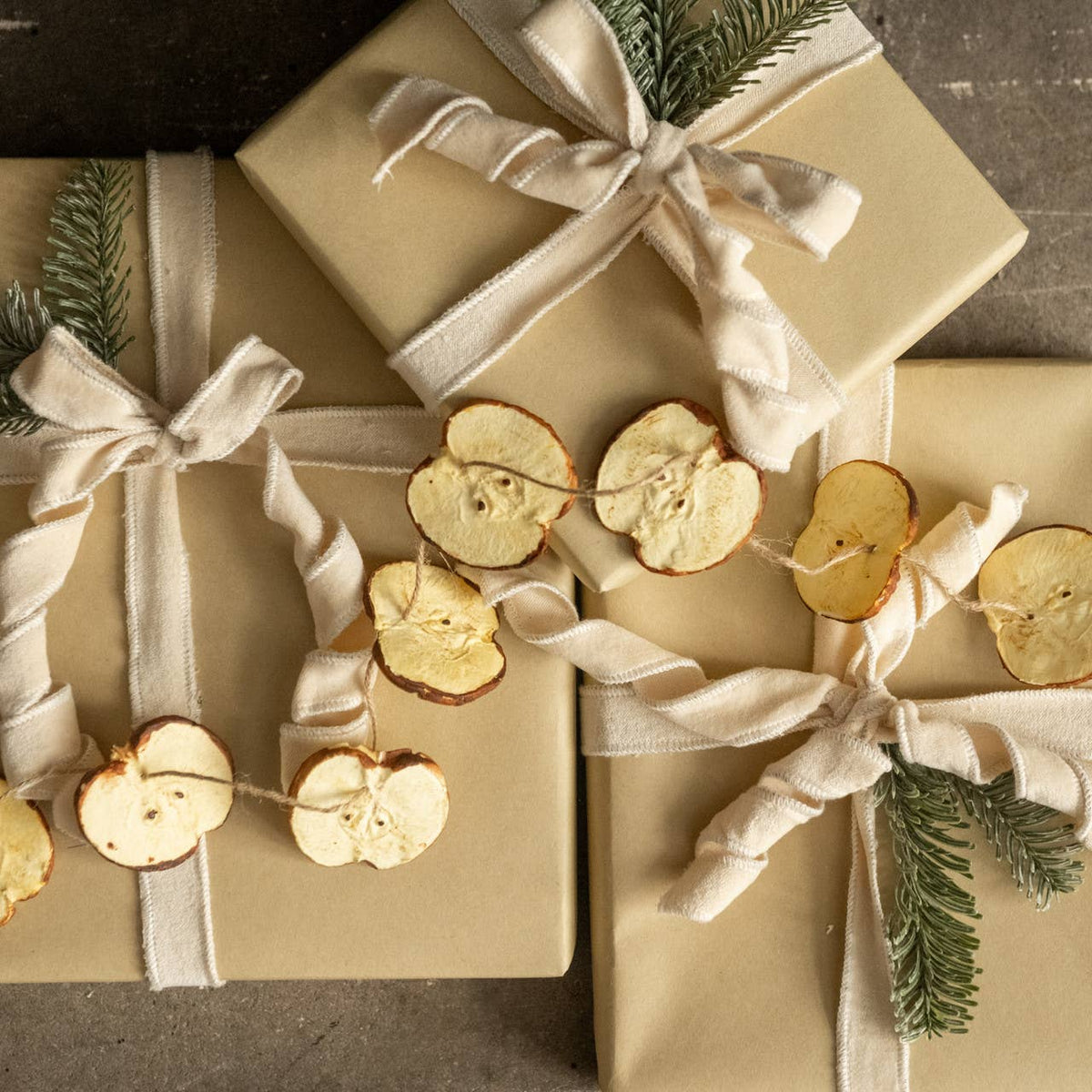 Apple Slice Garland