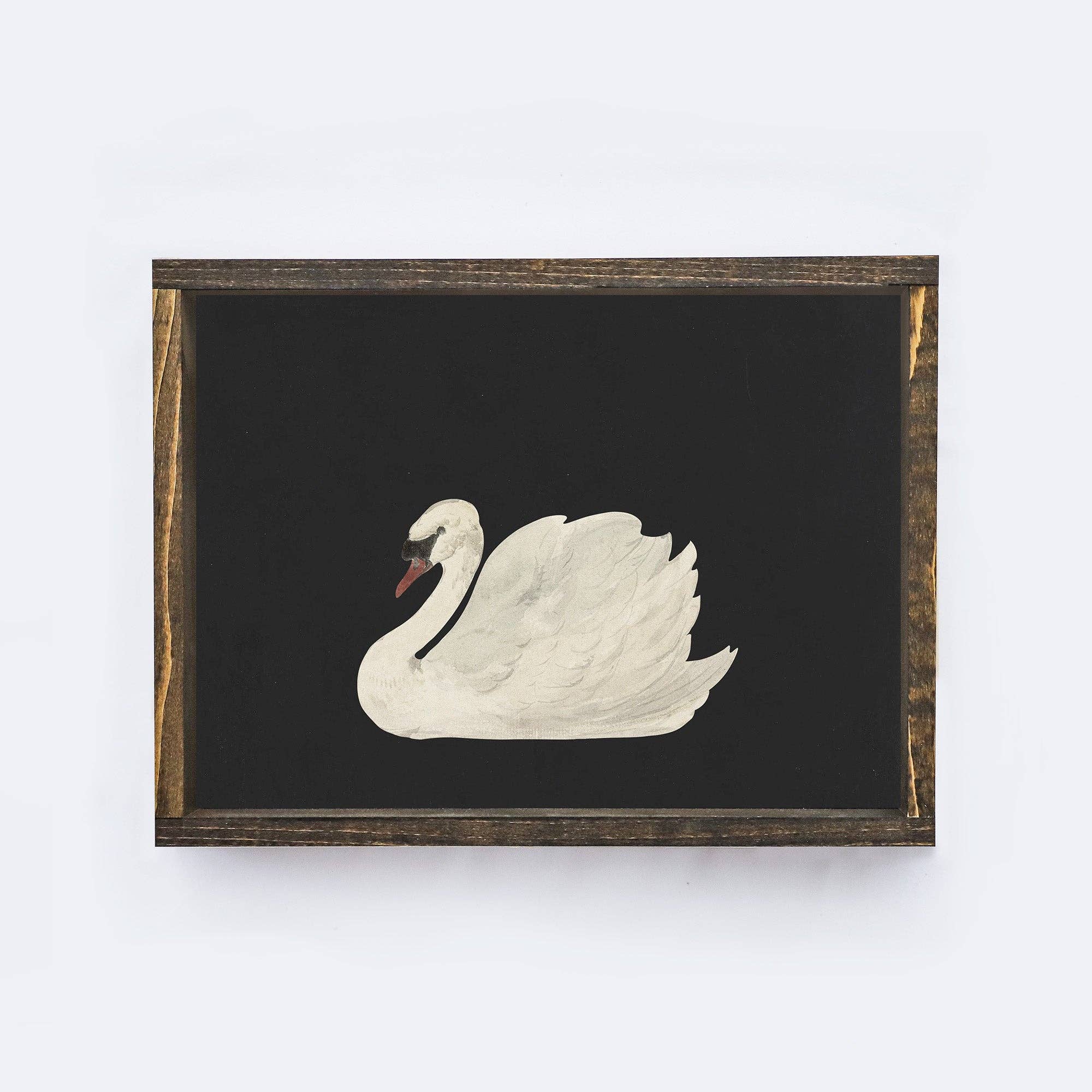 Vintage Framed Print | Antique Swan Painting A36 - Cloth + Cabin