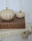 Concrete Pumpkins / Cream - Cloth + Cabin