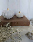 Concrete Pumpkins /  White - Cloth + Cabin