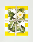 Camellia Gift Wrap Sheets